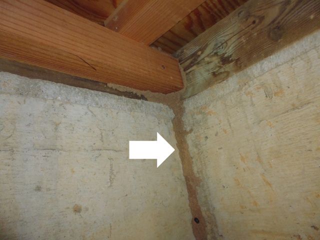 浜松市の注文住宅会社の工務店のエコーアートが思う蟻道の写真